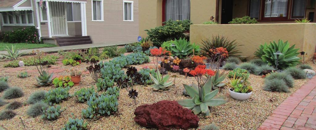 For most residential or small commercial projects, a local nursery of your selection would be able to assist in helping you determine the landscaping and plants that meet your needs.