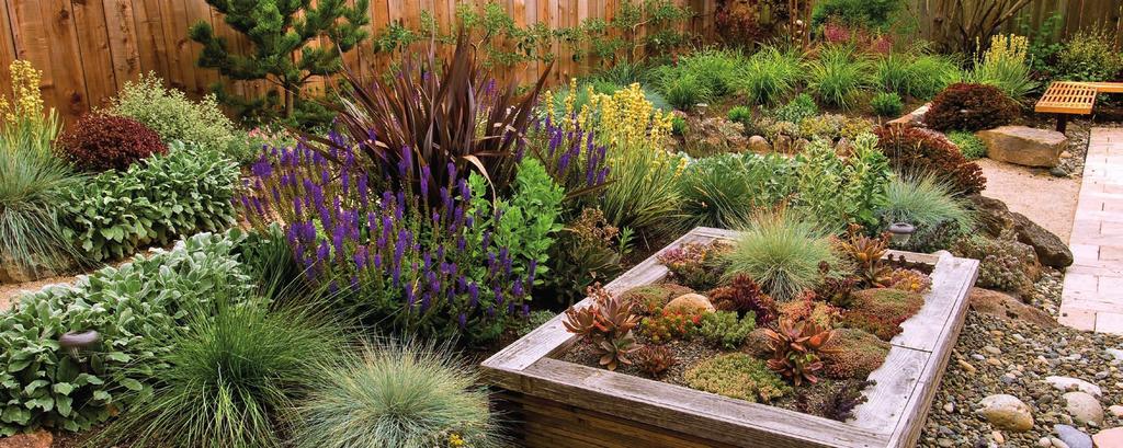 New landscaping projects containing 500 to 2,500 square feet of landscape area are eligible for the streamlined Prescriptive Checklist approach.