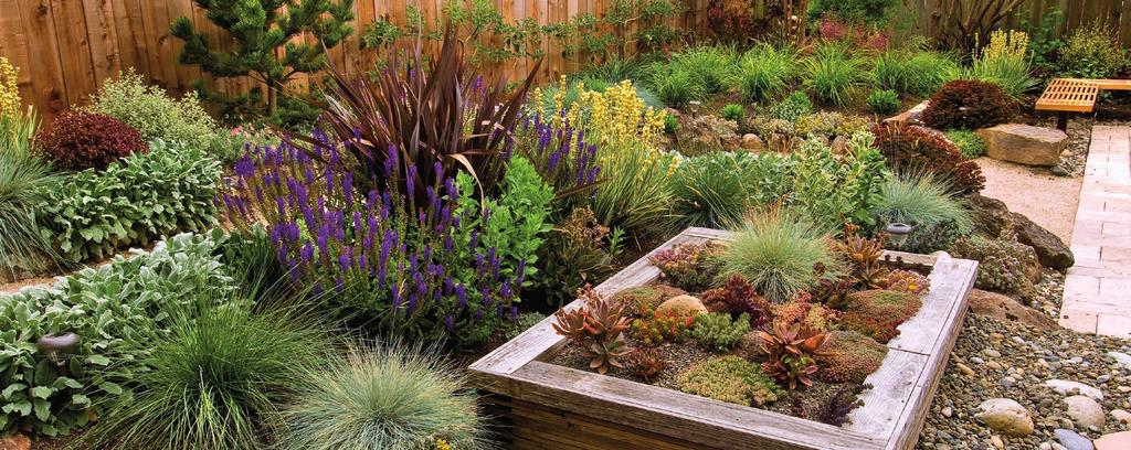 Landscape Design Package components include the following: Water Efficiency Landscape Worksheet Landscape Design Plan Irrigation Design Plan Grading Plan Soil Management Report The chart below