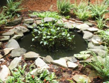 give visitors a quiet hideaway RECYCLE GARDEN This garden helps collect and re-use water diverted from