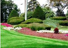Landscaped Mounds As they are titled, landscaped mounds are simply raised mounds of earthen material that are either covered in grass, or landscaped with mulch, stones, bushes, shrubs or trees.
