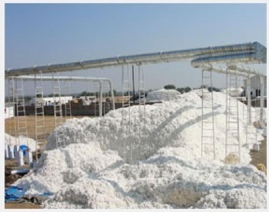 with Belt Conveyors System : (c) Individual DR Gin Feeding Distribution Conveyor replaced with