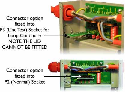 3. Connect the tethered Option PCB to P3 Line Test (as shown in Figure 3.