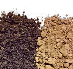 The minerals and humus in soil help give the soil its color.