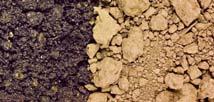 The texture of soil depends on the size of the soil s particles.