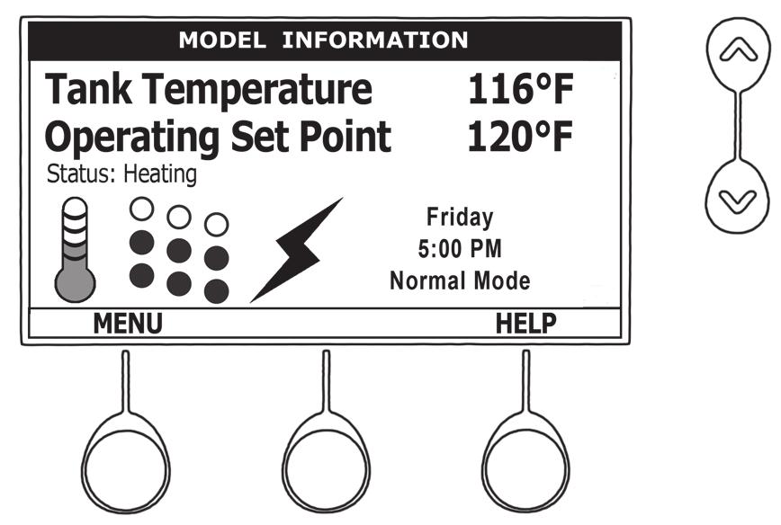 These models are equipped with an electronic control system. The control system senses temperature from a factory installed Immersion Temperature Probe (see Figure 2).