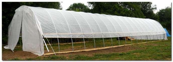 Time Out! Are you currently producing in high tunnels?