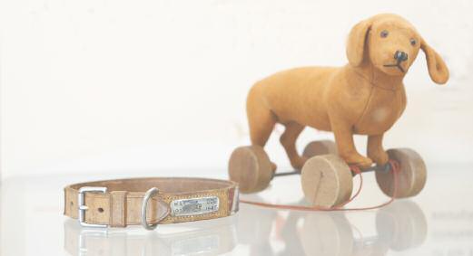 a) How many dog collars were first donated? Answer: b) How many dog collars are in the museum now?