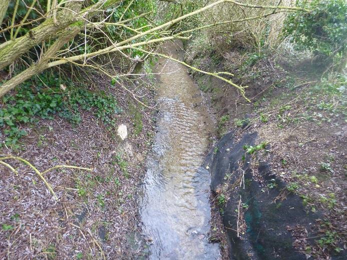 upstream from the Cranmer Road