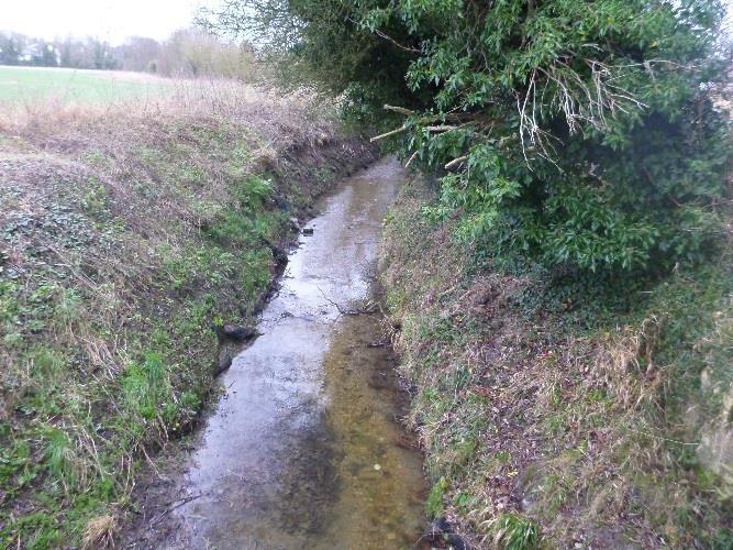 downstream from the Cranmer Road