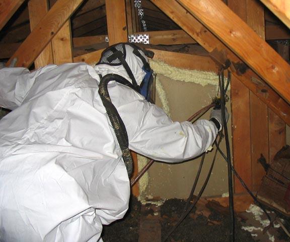 Contractors are mentored Contractor Specialties: Insulation and