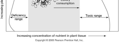 Nutrients required by plants Soil Horizons C