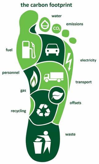Yo u r Ca rbon Footprint Essential Q u e s tions How much energy do you use in a day? A month? A year? What is your carbon footprint, and how can you reduce it?