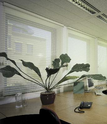 Silhouette FR Window Shadings Our exclusive Silhouette FR window shadings offer category-defining functionality and aesthetics, as well as durability and ease of use.