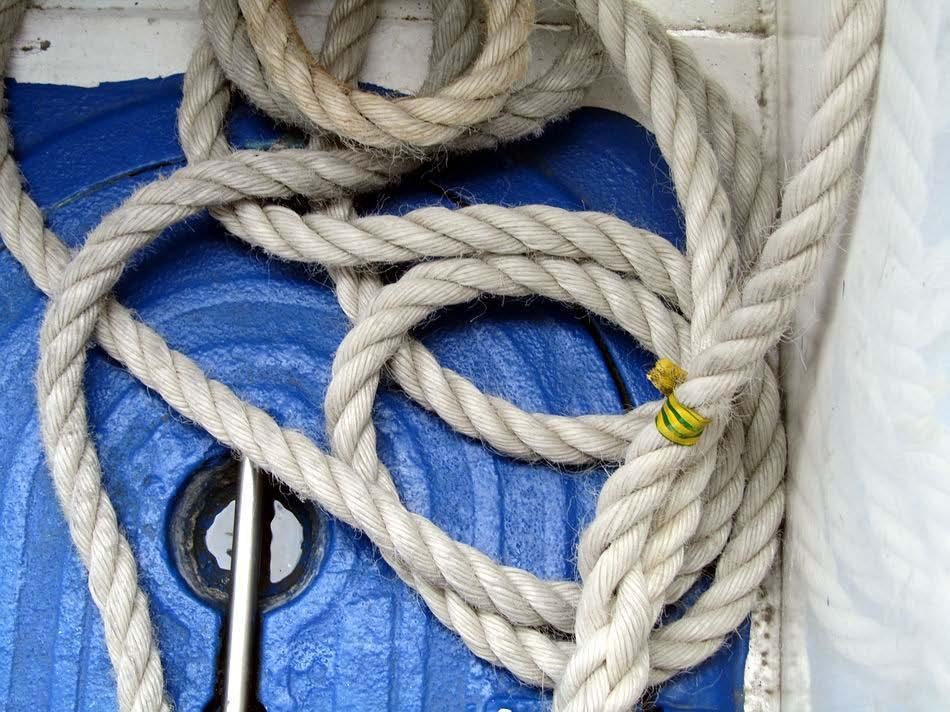 captivated by the mooring rope lying on the