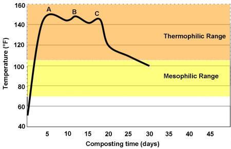A well-made compost pile will go through distinct three phases. First, it will enter into the mesophilic stage (68-104 degrees Fahrenheit).