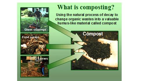 Compost is the action and end result of decomposing organic materials in their raw form turning into vitally important soil amendment that