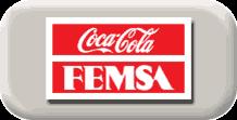2 FEMSA Overview 47.
