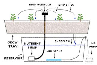 Types of Hydroponics EBB & FLOW - (FLOOD AND DRAIN) WICK SYSTEM WATER CULTURE