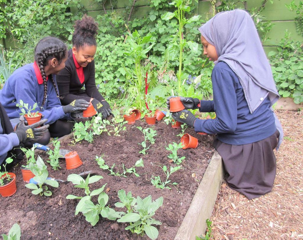 Health: Food growing improves health and wellbeing Food growing in schools can have a profound positive health and wellbeing impact when used as part of place-based population health improvement