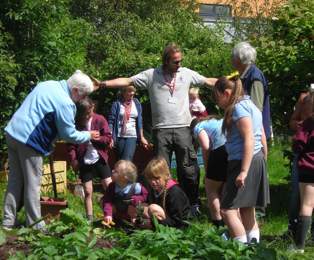 Enthusiasm for school based food growing spills out into wider neighbourhoods, for example Phoenix School Farm and Learning Zone began life as a small school garden in 2007 and is now used equally by