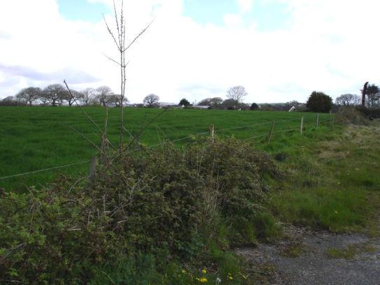 Site from footpath link in