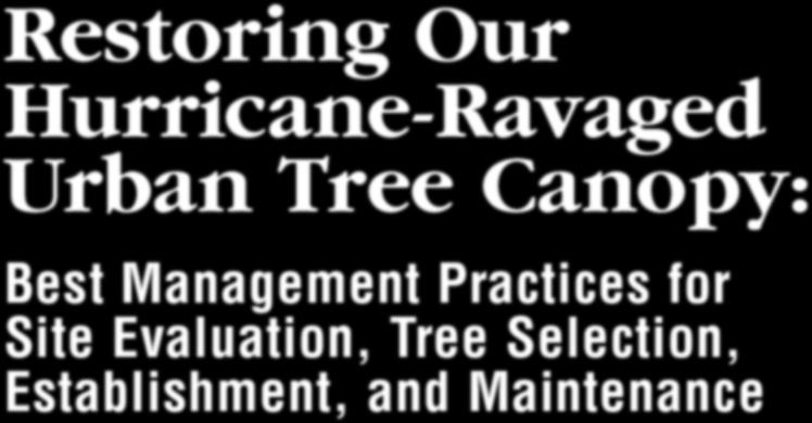 Management Practices for Site Evaluation, Tree