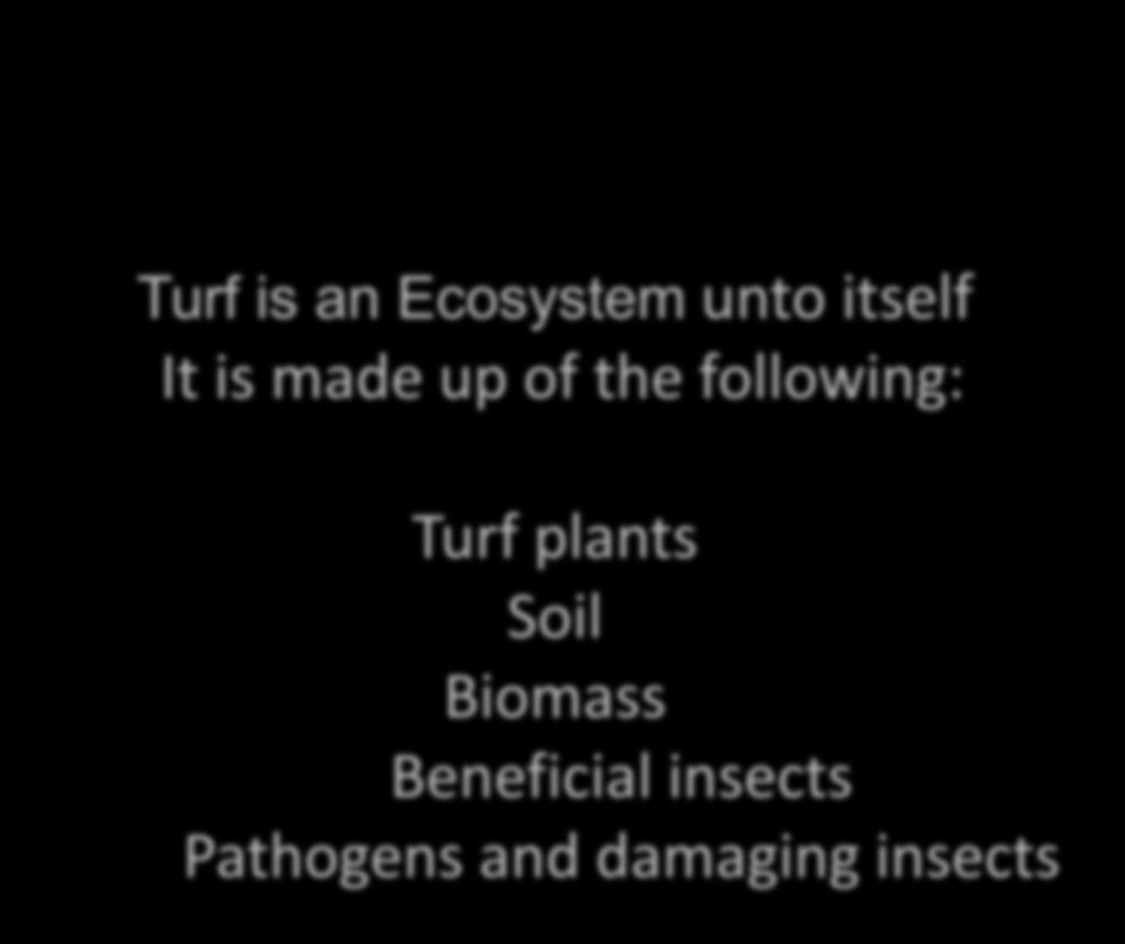 Turf is an Ecosystem unto itself It is made up of the following: Turf