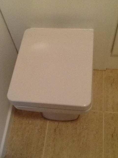 Comparison Bathroom - Toilet Bathroom - Toilet Floor standing white ceramic toilet bowl clean, white plastic with chrome hinge self-closing seat, chrome flusher, cistern behind