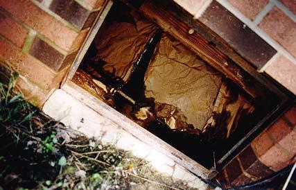 Drying Out: Crawl Space Remove insulation