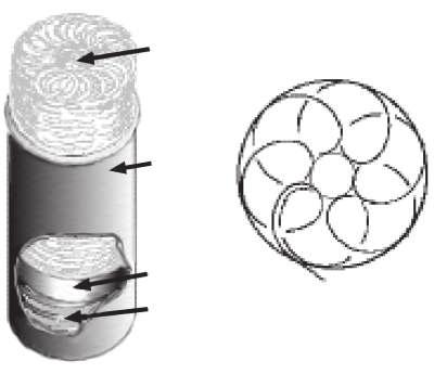 Carding and prior processes for short-staple fibers 149 Central hole Can Piston Spring Plan view showing coiling pattern Fig. 5.