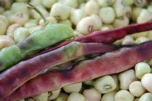 Southern Peas (AKA purple hull peas, cowpeas,