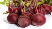 Vegetables Beets Beets like cool soil Plant in October and again in