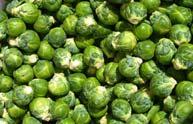 = bigger head Harvest side shoots after main head Brussels sprouts Most