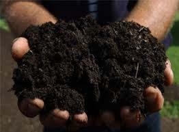 0 or below Soil Amendments Compost Compost is organic matter that has been decomposed and recycled as a fertilizer and soil amendment and is very rich in