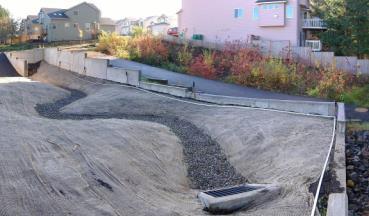 are landscape elements designed to remove silt and pollution from surface runoff water.