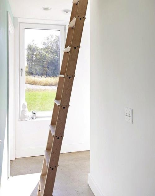 A library ladder that angles out from the wall makes the climb to the sleeping loft much easier