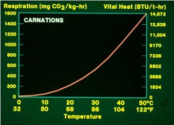 Postharvest Technology of Horticultural Crops Short Course 6// Temperature why is it important?