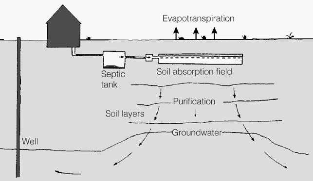 The estimate of soil permeability is referred to as the soil loading rate, which estimates the rate the soil absorbs the effluent.