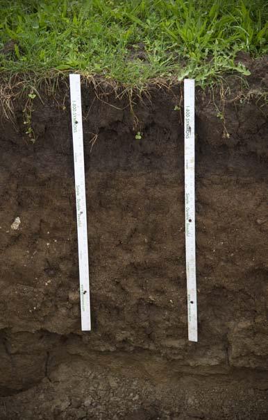 Figure 5.2. This illustration shows a soil judging pit with approximate dimensions. An optional 2-foot by 2-foot shelf to expose fragipan characteristics is shown along one side of the pit. 24-26 in.