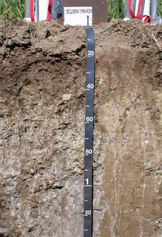 The soils on this page are common in Soil Region 7 (see Figure 1.2).