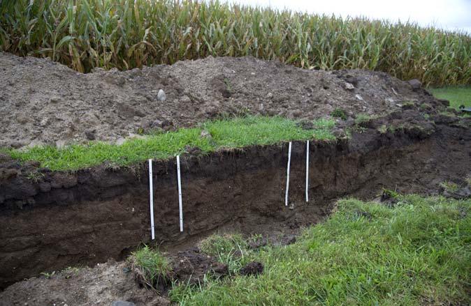 Overview of Soil Evaluation and Judging Professionals who manage soils first evaluate soil properties, and then judge which practices are most suitable for that soil.