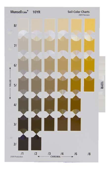 Munsell Color System Contestants determine soil colors by comparing the moist soil with standard Munsell soil color charts (Figure 2.13).