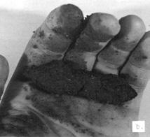 When the sample is moist enough, squeeze it in your hand and observe the kind of cast it forms (Figure 2.17).