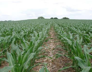 Conservation Tillage Conservation tillage includes all tillage systems that leave at least 30 percent of the soil surface covered with live plants or crop residue at planting time.