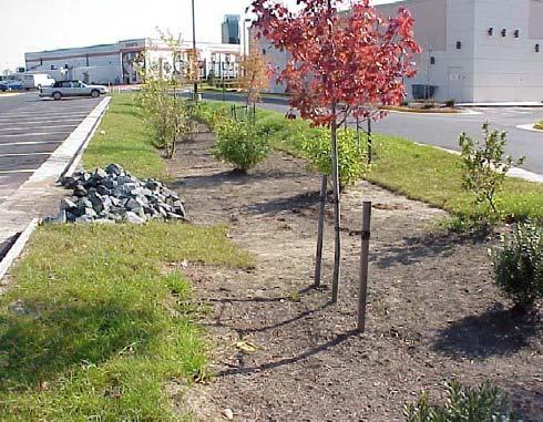 allowing stormwater access to a traditional storm sewer