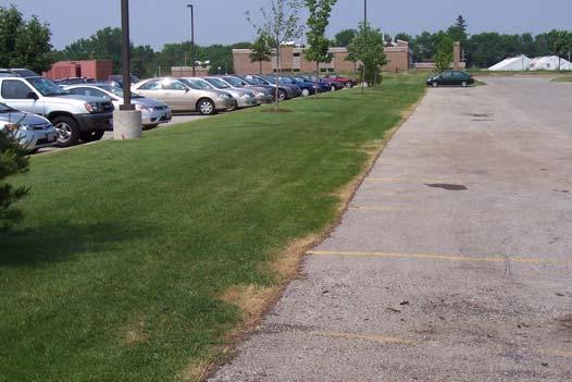 Existing green space between parking areas can be excavated and replaced with bioretention BMPs. Existing storm sewer within the parking area would convey BMP overflow.