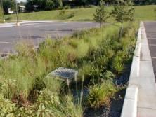 sustainable design. In the context of stormwater management, sustainable design seeks to minimize the impact of development on the hydrologic response (i.e. intensity and duration of stormwater runoff).