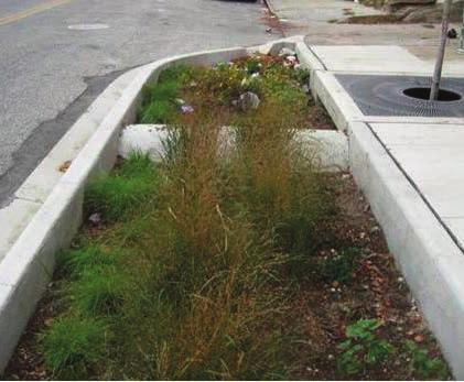 Typically, urban bioretention is installed within an urban streetscape or city street right-of-way, urban landscaping beds, tree pits and plazas, or other features within an Urban Development Area.