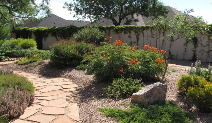 This landscape is a stunning example of a xeriscape that utilizes over 80 species of plants to add lush greenery and color that uses little to no water.